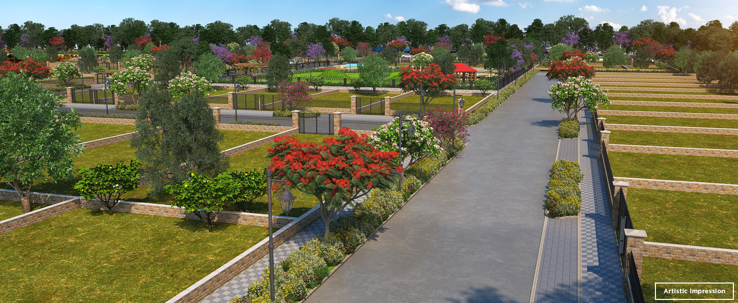 Central Park 3